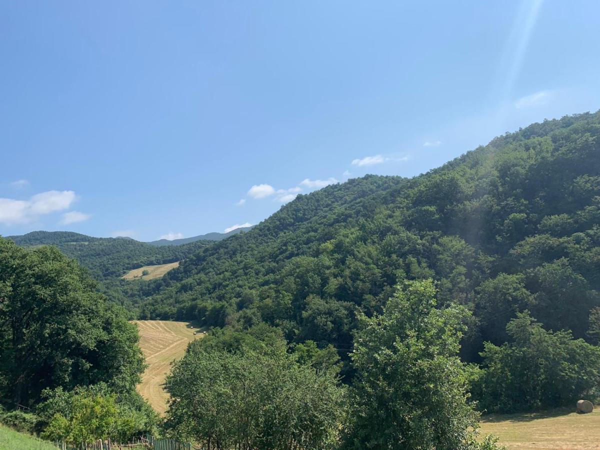 B&B Villa Bianca Sant'Agata  Экстерьер фото