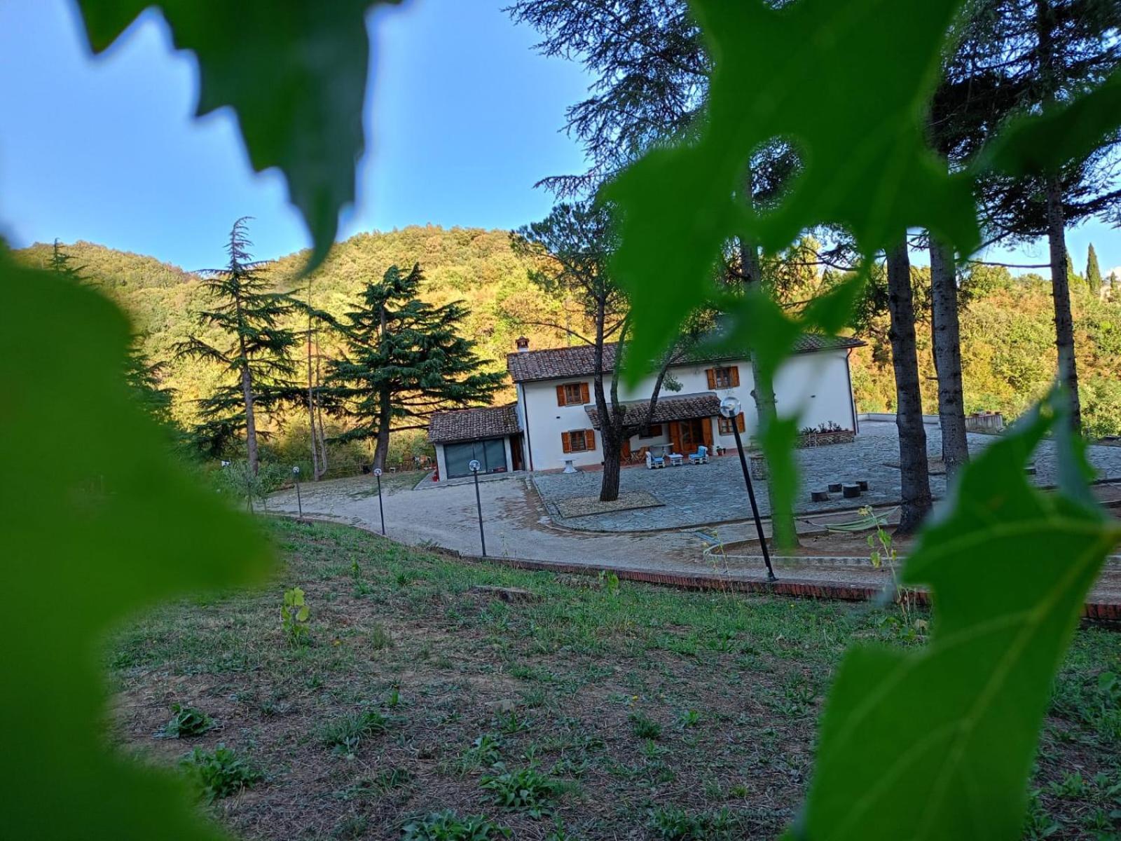 B&B Villa Bianca Sant'Agata  Экстерьер фото